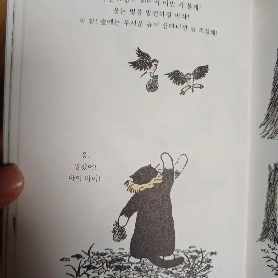 그림책 도서 고양이 모이야기