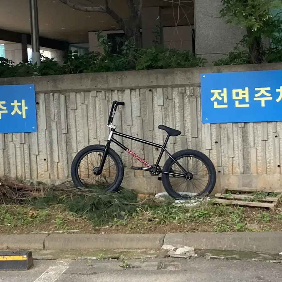 [개개개급처]밀스21인치 풀커스텀 bmx 판매,각개 ㄱㄴ