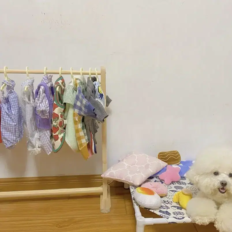 강아지 원목 행거 애견옷장 옷걸이 고양이 옷정리