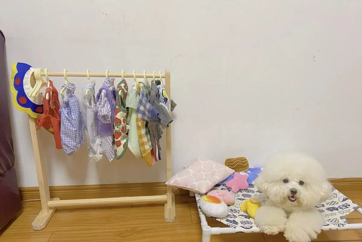 강아지 원목 행거 애견옷장 옷걸이 고양이 옷정리