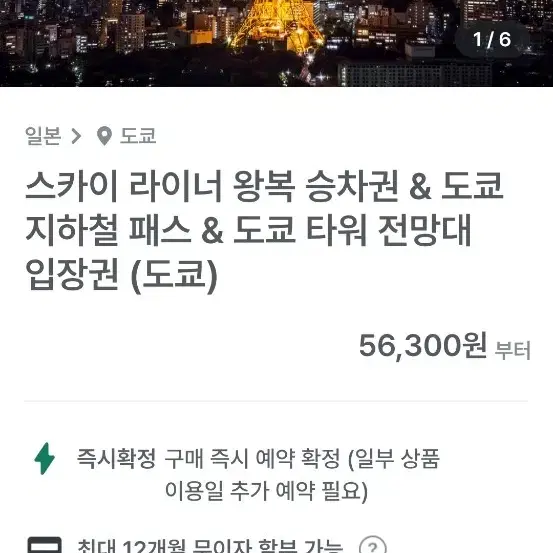 도쿄 전망대. 라이너. 지하철 패스권 총 3명분