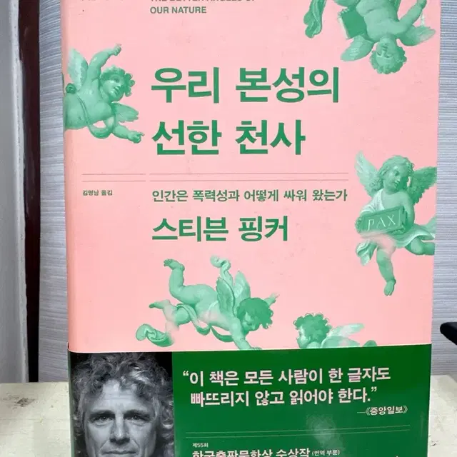 스티븐 핑거 우리 본성의 선한 천사 책