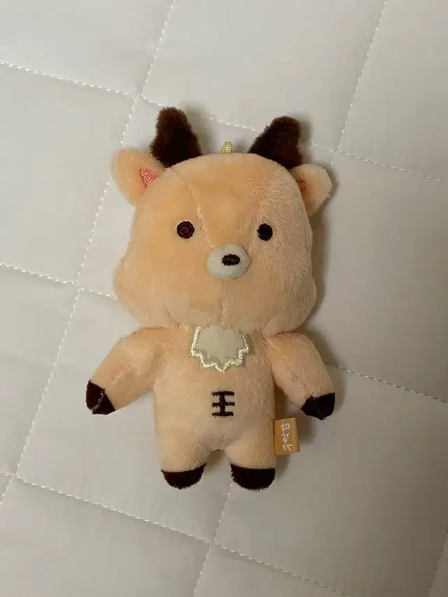 라이즈 성찬 인형 우락밤