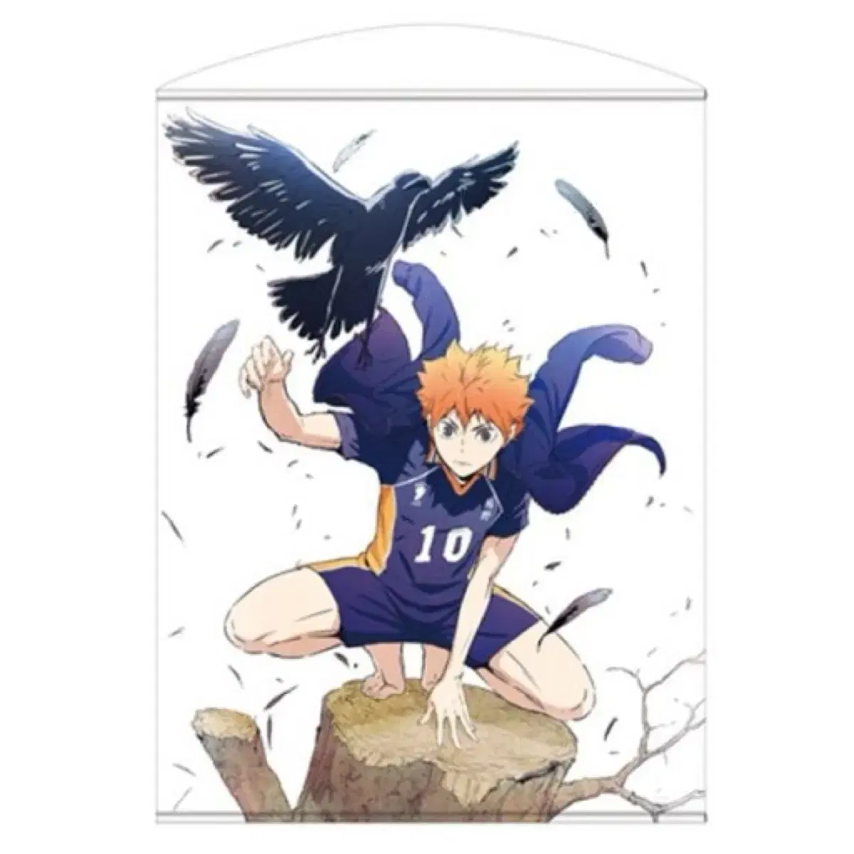 Haikyuu hinata Shoyo Barefoot Tapestry