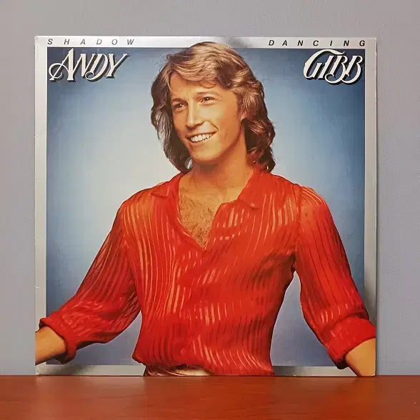 수입음반 LP_ Andy Gibb " Shadow Dancing "