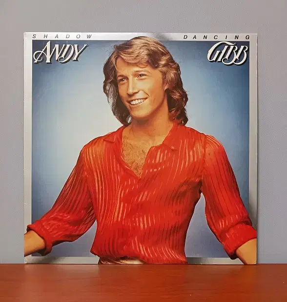 수입음반 LP_ Andy Gibb " Shadow Dancing "