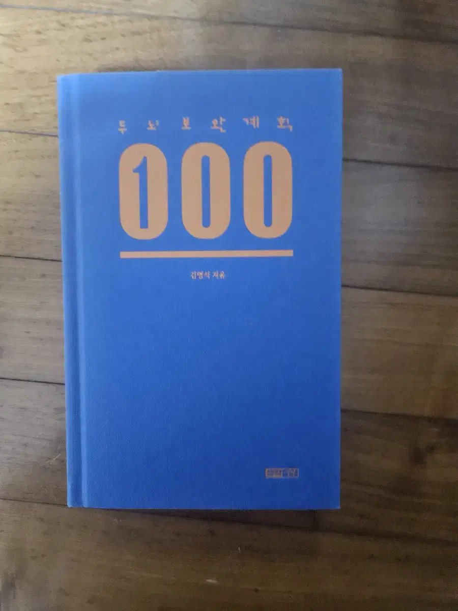 두뇌보완계획 100