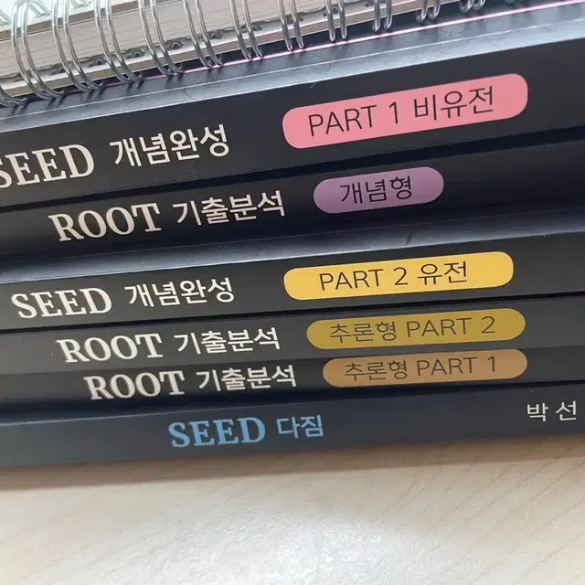 대성 seed root 급처