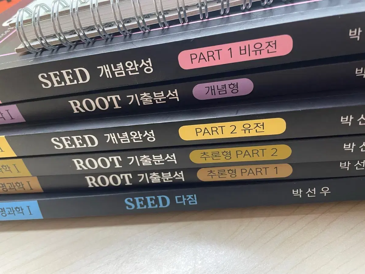 대성 seed root 급처