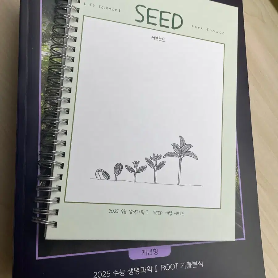 대성 seed root 급처