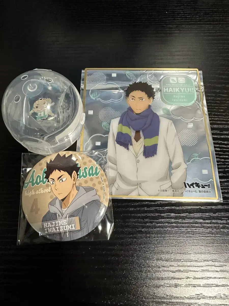 Haikyuu Iwaizumi Canbadge