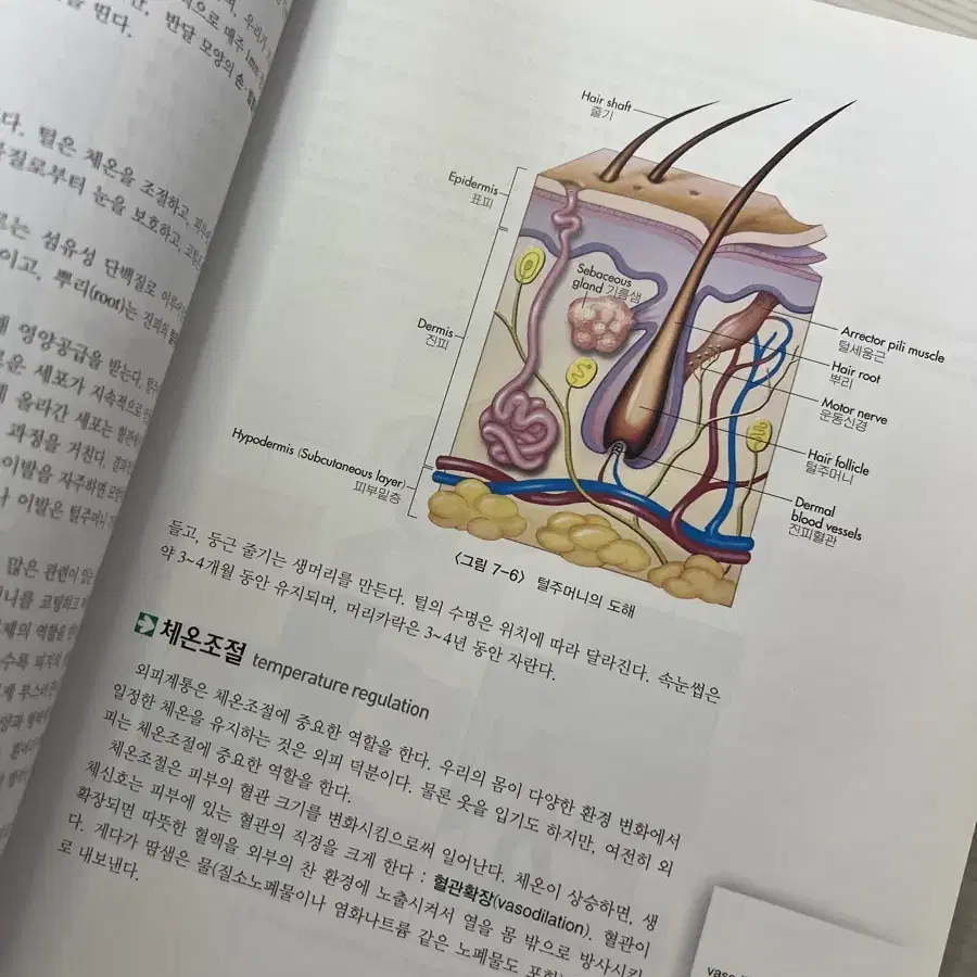 배송비포함/해부생리학 메디시언 새교재