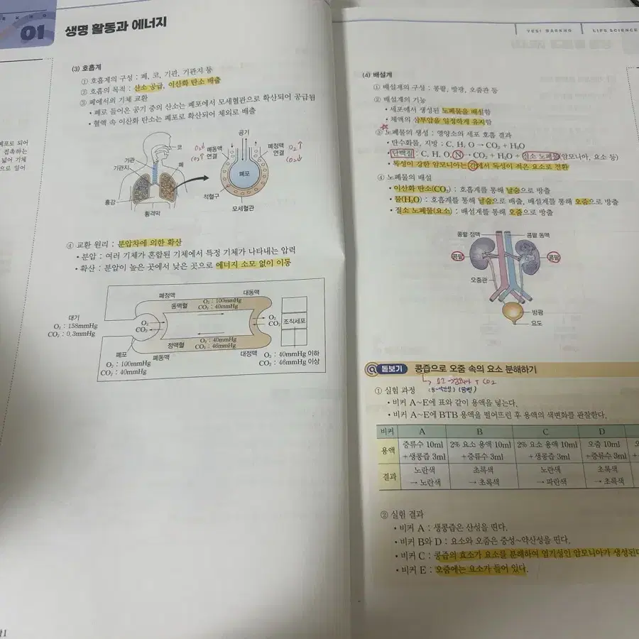 메가스터디 백호T 개념완성 생명과학I 팝니다