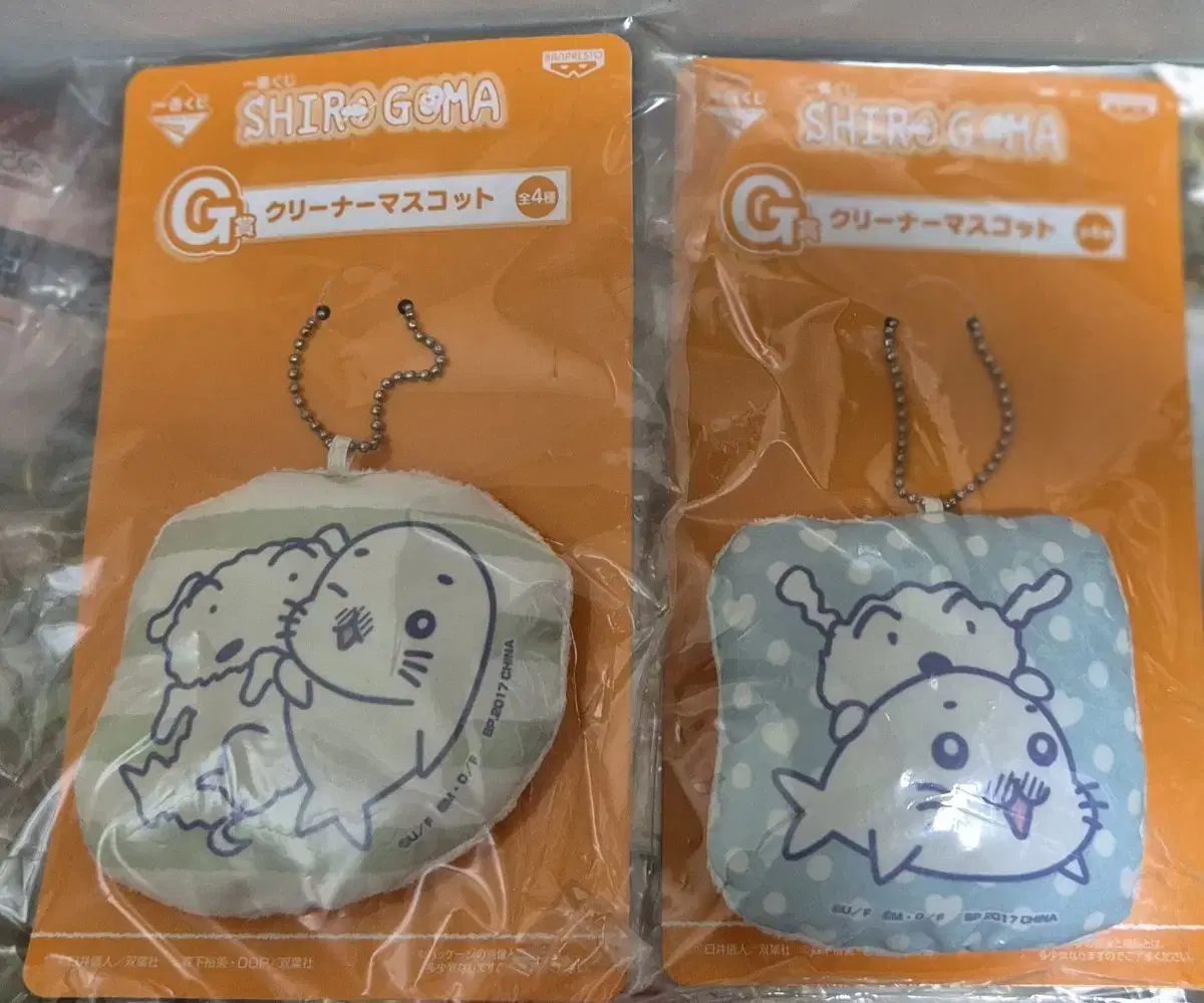 Albino Goma-chan First Lottery