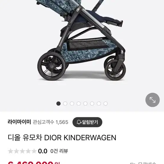 디올유모차 DIOR KINDERWAGEN