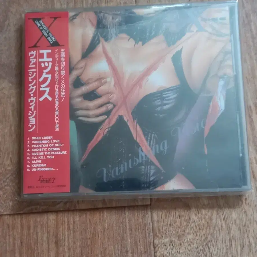 x japan cd 엑스저팬 일본반 시디