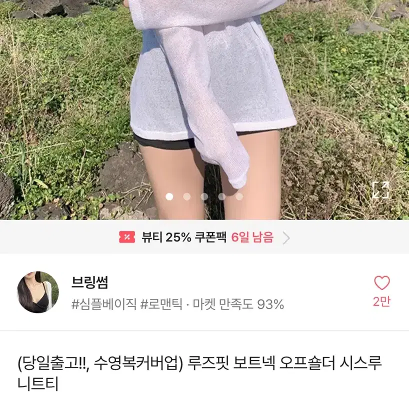 루즈핏 시스루 니트티