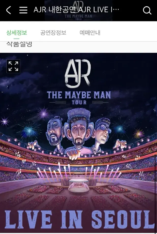 급처)AJR 콘서트 티켓 스탠딩B구역 300번대 2장