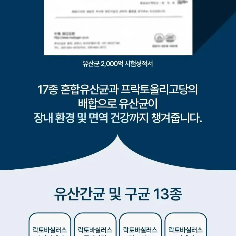 (100포 대용량) 다이어트 유산균 고함량 모로실 + 2000억 유산균