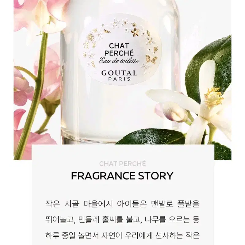 구딸파리 샤 페르쉐 오드뚜왈렛 100ml