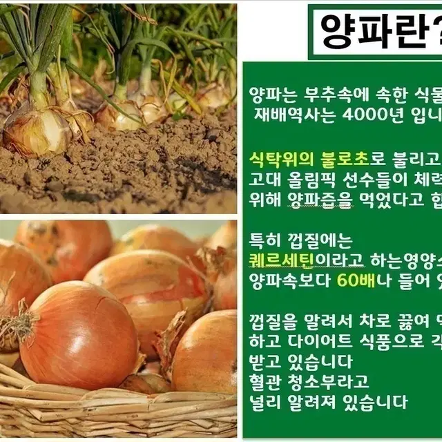 양파즙