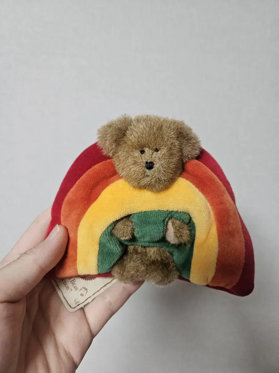 Boys Bear Rainbow Plushies for sale.