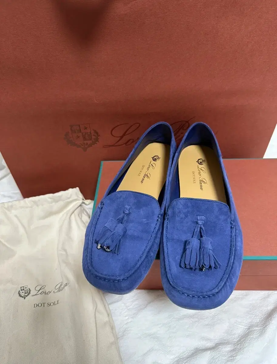 Loro Piana Dot Sole Walk Moccasin 38