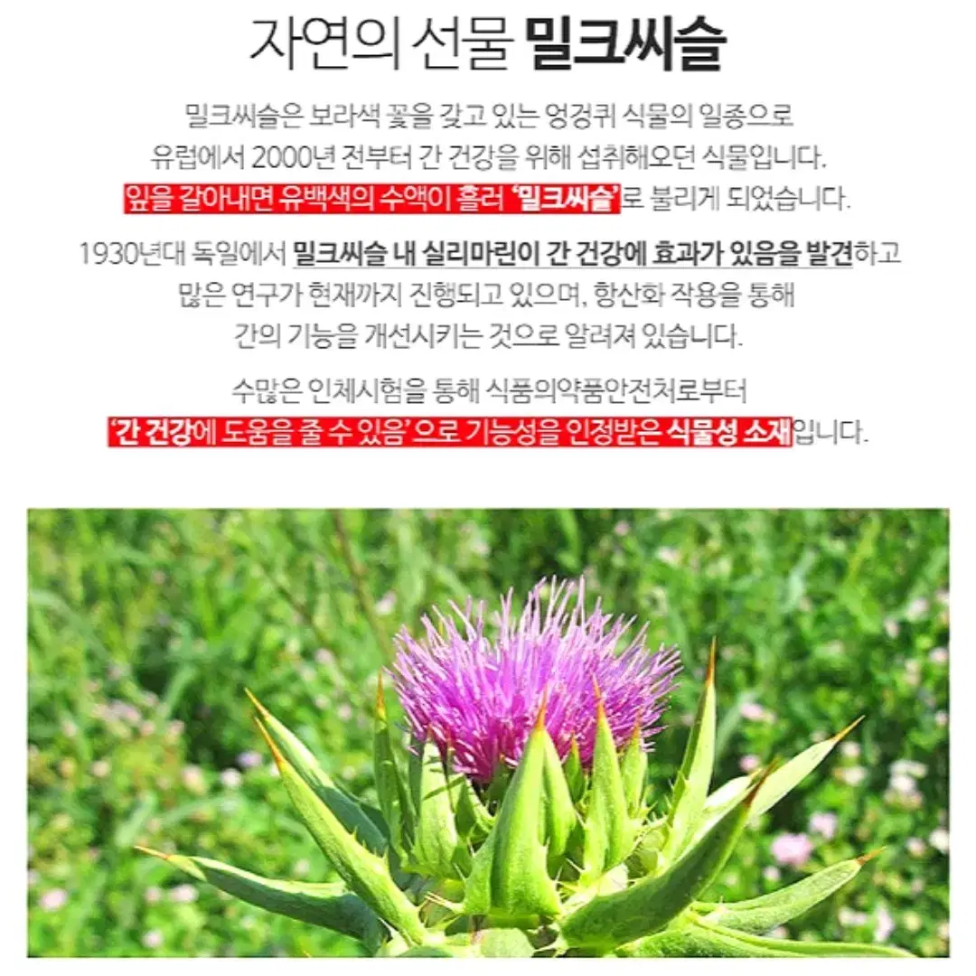 [3개월]웰러스 간에 좋은 실리마린 밀크씨슬 900mg90정 무료배송