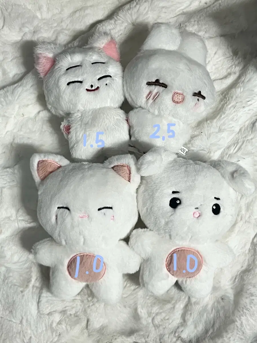 Enhypen doll wts ( 한국폭, 해피떤, 선빵이, 훈빵이 )