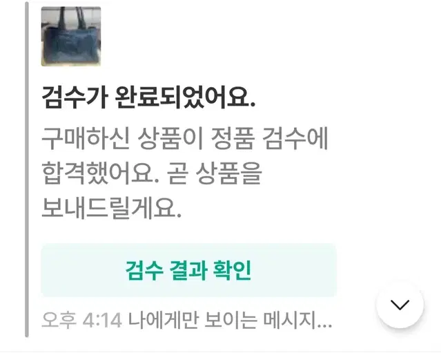 프라다카나파 해지데님백