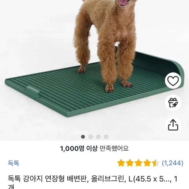 독톡배변판