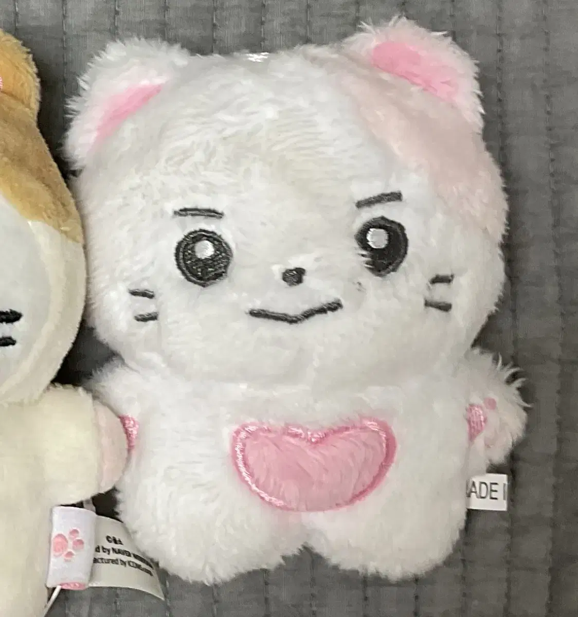 Contory sung hanbin Hamster doll zb1 zerobaseone zb1