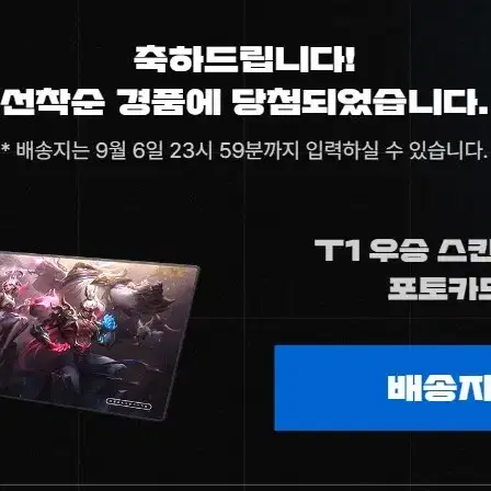 T1 티원 우승 스킨 한정판 장패드 + 포토카드 2장 (랜덤)