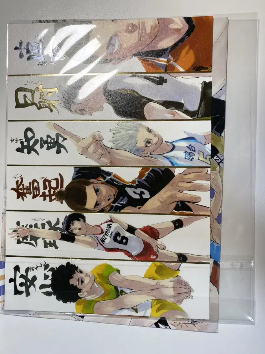 Haikyuu Gold Leaf Illustrations