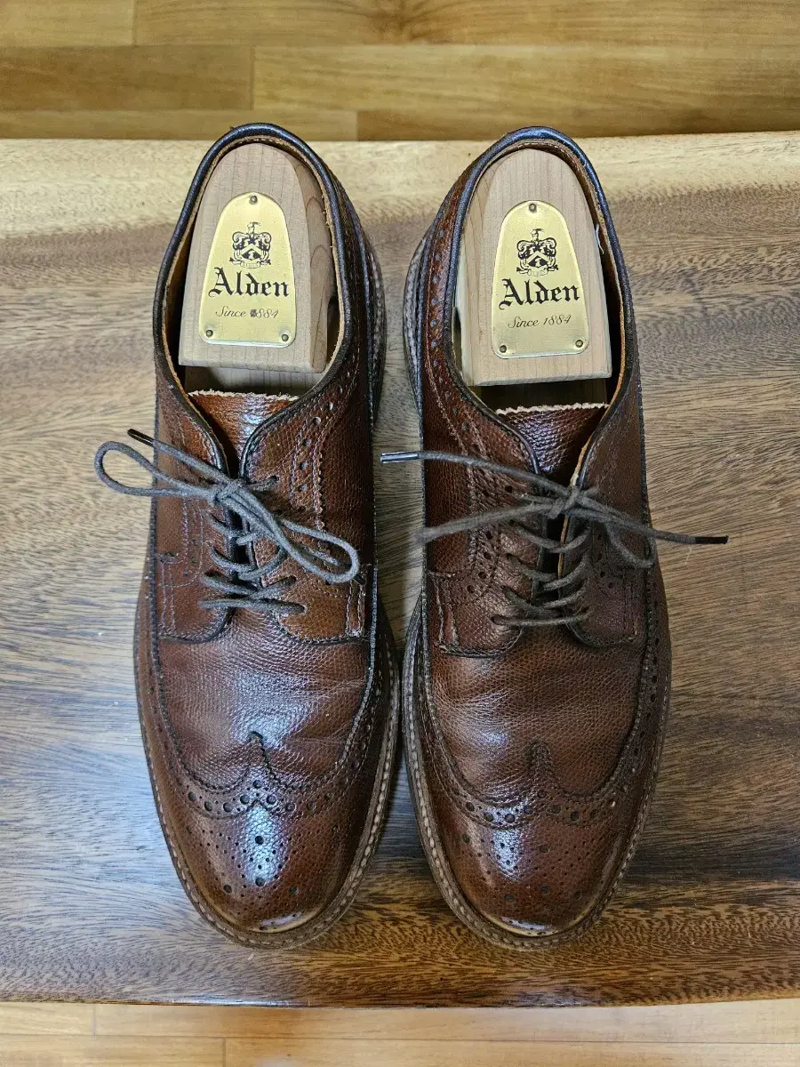 Alden a0505 long wing 8.5d