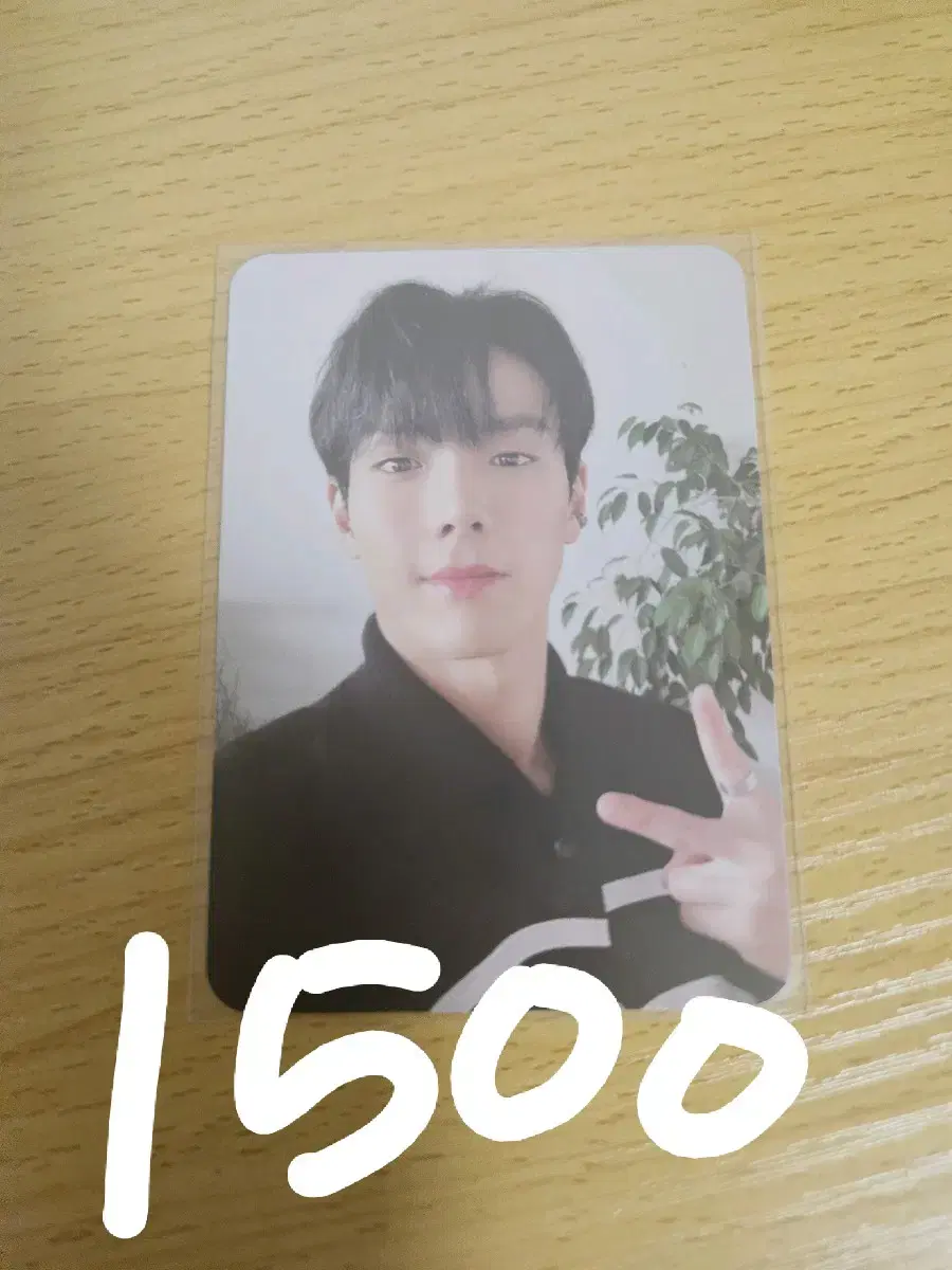 Monsta X shownu photocard sells