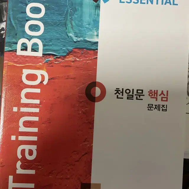 천일문 핵심 문제집