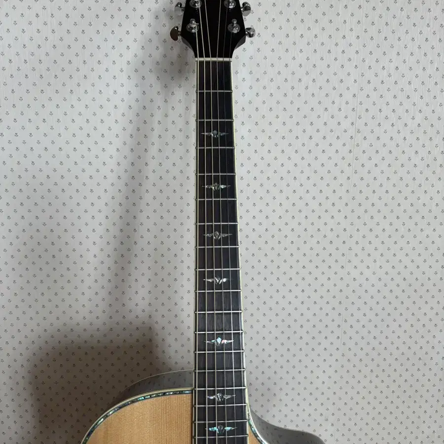 Breedlove AC25/SR