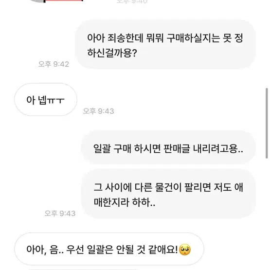 박제))빈짱 Binjjang 거파 박제