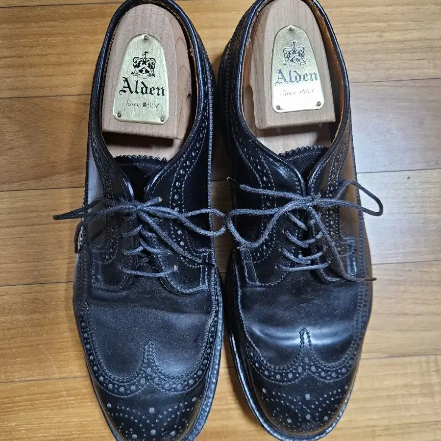 Alden 9751 9E