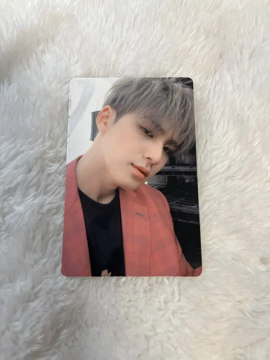 An ode Real COLOR1 mingyu photocard