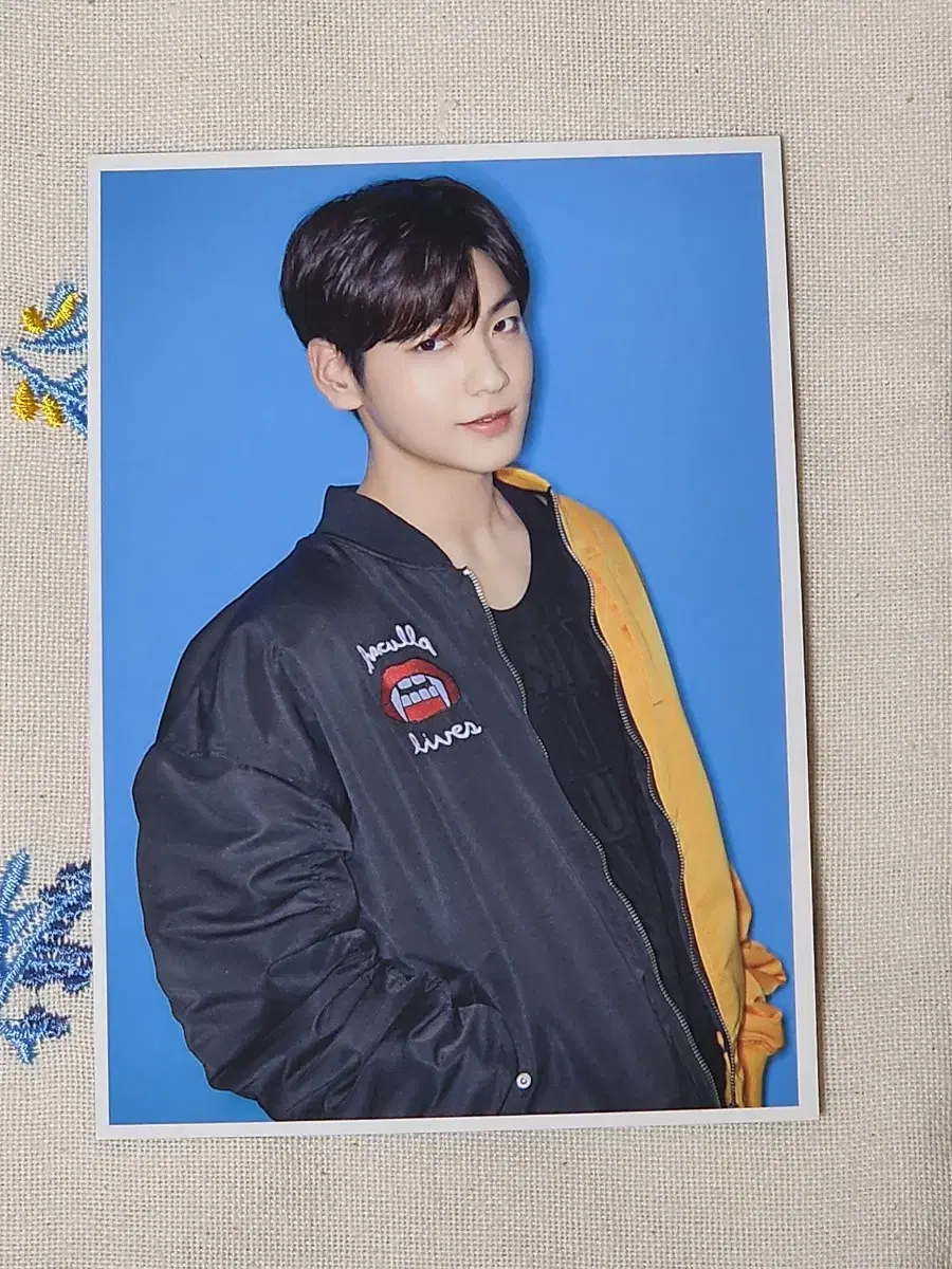 TXT soobin Japan Magic Hour Universal pre-order benefit postcard Postcards