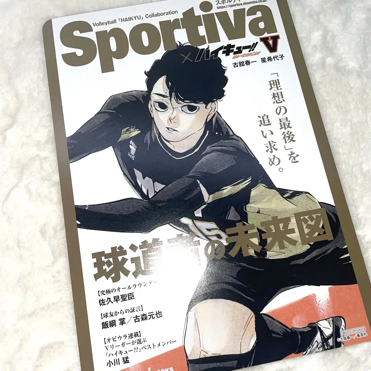 Haikyuu Sakusa Kiyomi Sportiva Visualboard wts