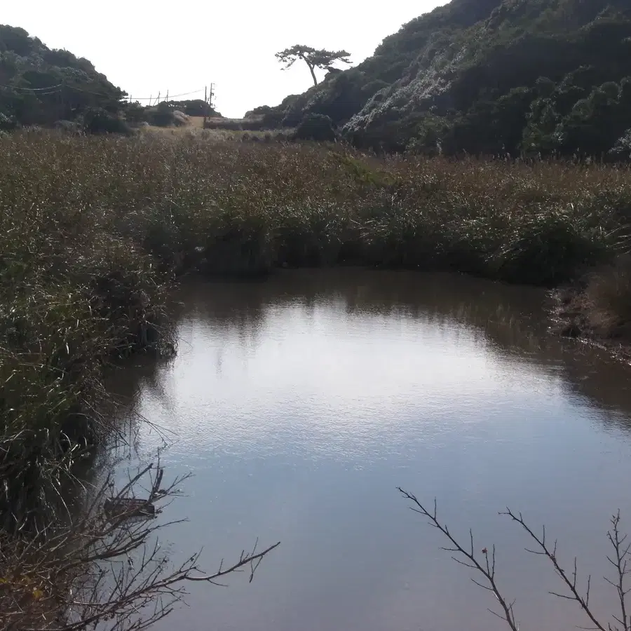 산요작티 ca100 캠코더카메라 판매