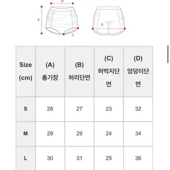 핫한 폴웨어 세트 S