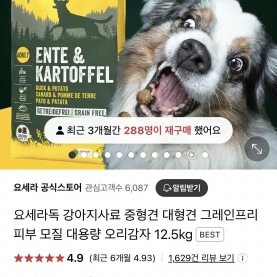 보나시보,요세라독 사료나눔