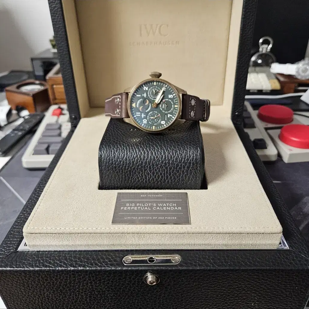 IWC PPC 빅파일럿