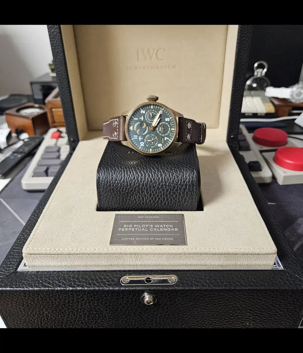 IWC PPC 빅파일럿