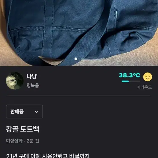 캉골 토트백