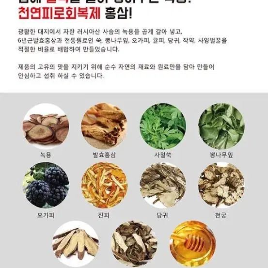 발효홍삼 녹용단